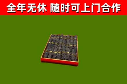 郊区回收海参